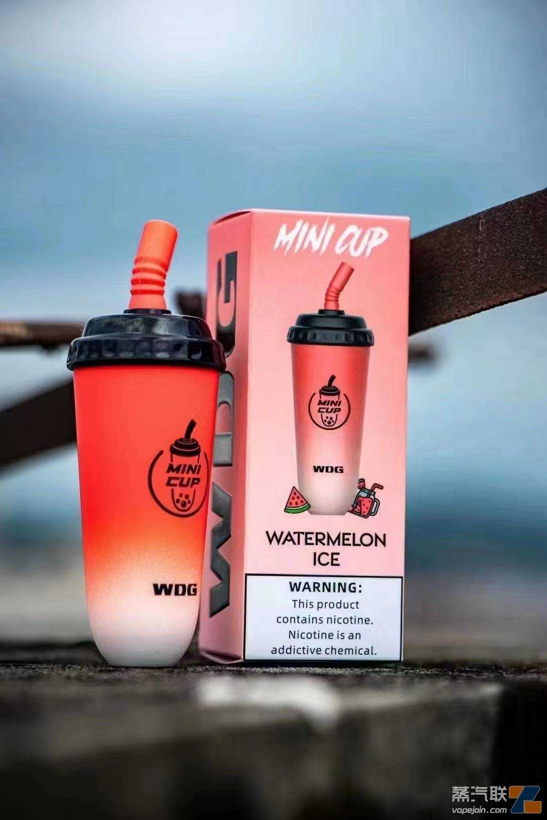 2022电子烟一次性畅销品牌排行榜：wdg奶茶杯、福禄大彩蛋、迷雾可乐罐、维刻奶茶杯
