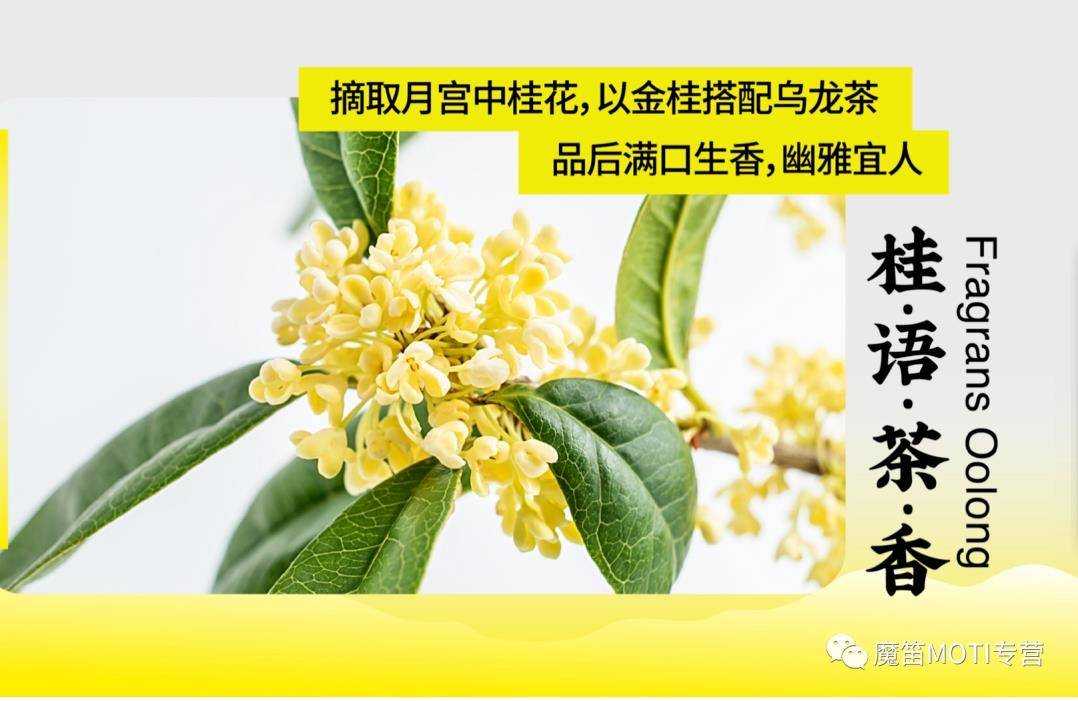 茶控注意啦！魔笛MOTI新口味来袭。

</p>
<p>秋季品茶的季节