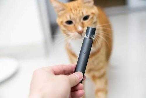 魔笛电子烟有蓝牙功能吗？