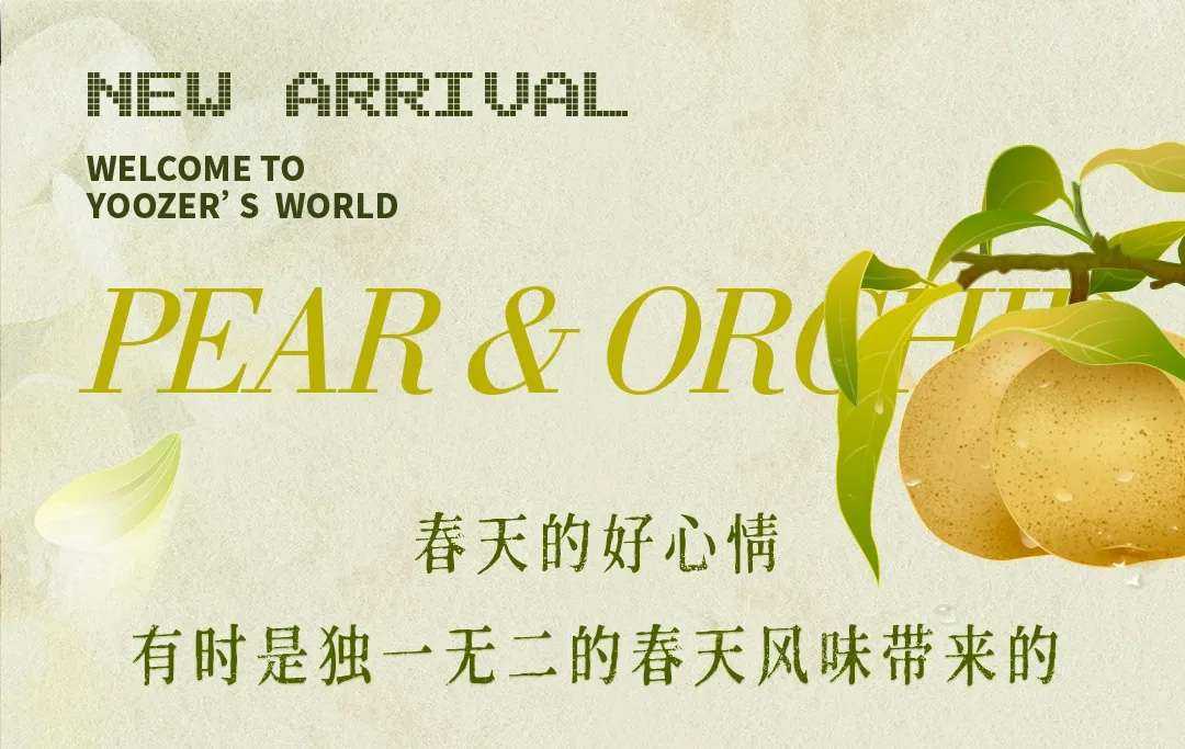 限时尝新｜刚刚好的你，遇见刚刚好的兰花雪梨