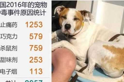 悦刻一代到五代价格表，悦刻全系列产品对比介绍