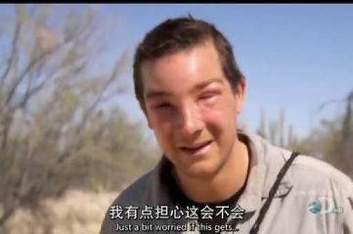 悦刻宙斯烟弹的烟碱释放量是多少？