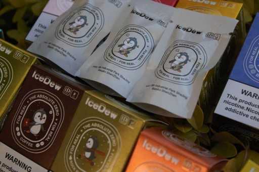 song烟弹多少一盒？有哪些口味？