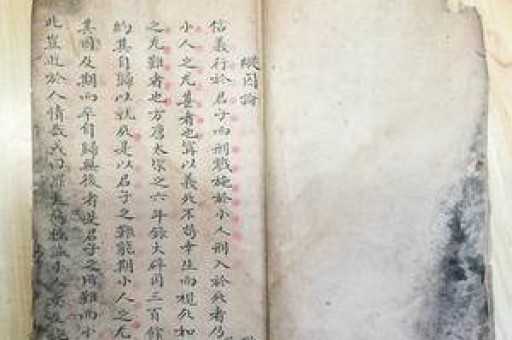 yooz柚子真假对比