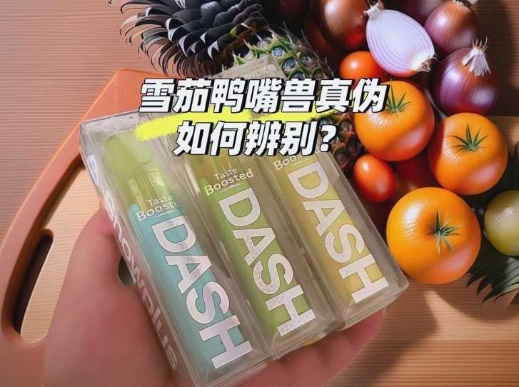 如何辨别雪加鸭嘴兽电子烟的真伪:全面指南