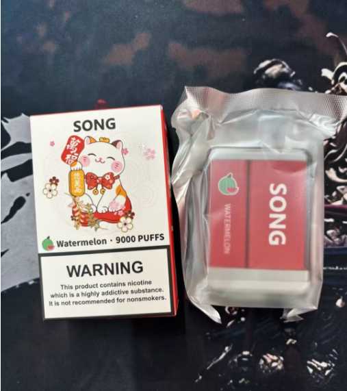 Song崧盒与雪加大板砖:性价比大比拼,哪款更适合你?