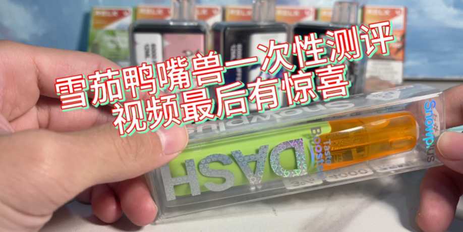 雪加鸭嘴兽一次性电子烟:4000口的持久体验与多样口味