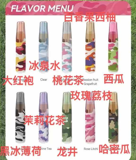 SONG 崧鸭嘴兽西瓜味电子烟:清爽口感的高分之选