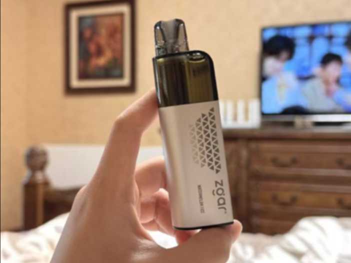 真格冰熊Zgar Retro 6000一次性电子烟深度测评：设计、续航与口感全面解析