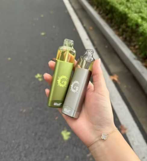 GOWIF高维18000配置全解读：双陶瓷芯+16W功率，如何碾压同价位产品？