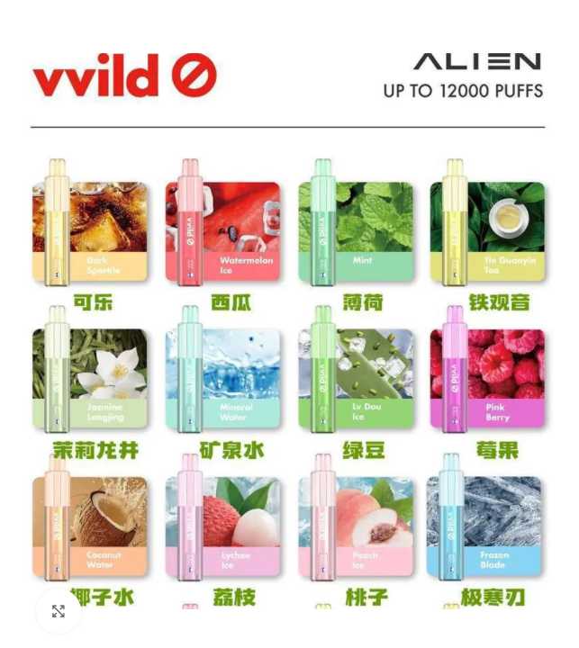 vvild小野外星人12000口评测：口感、真实续航与性价比分析